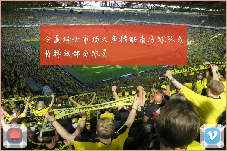 今夏转会市场大鱼稀缺南方球队或将释放部分球员