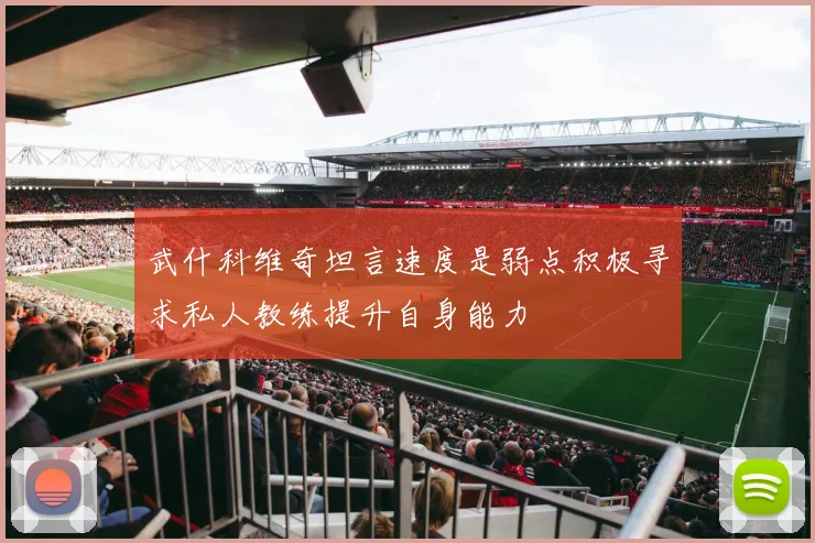 武什科维奇坦言速度是弱点积极寻求私人教练提升自身能力