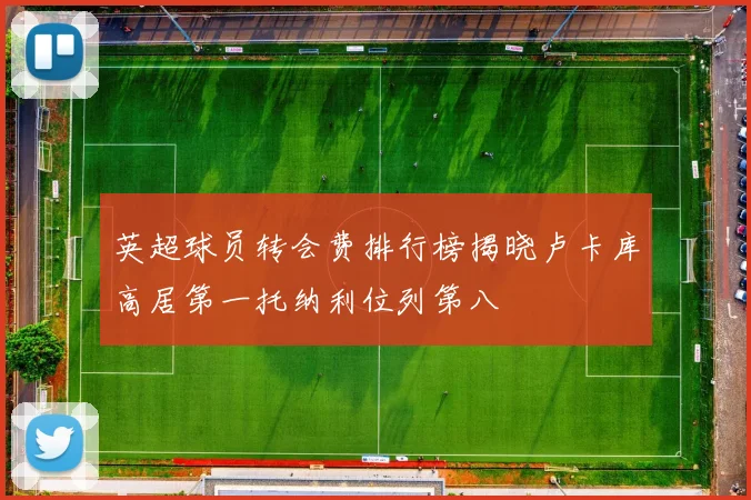 英超球员转会费排行榜揭晓卢卡库高居第一托纳利位列第八